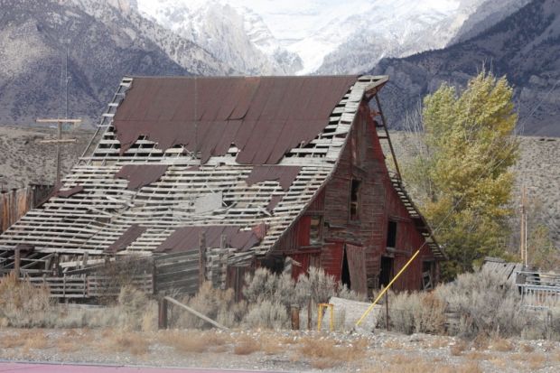 Barn
